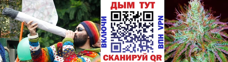 Каннабис семена Шахунья